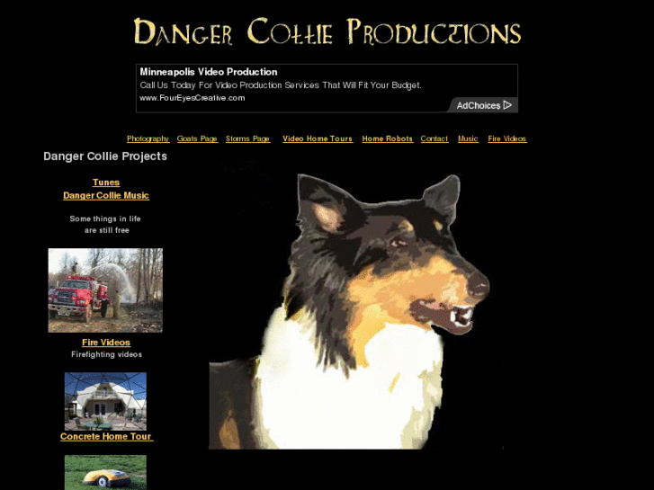 www.dangercollie.com