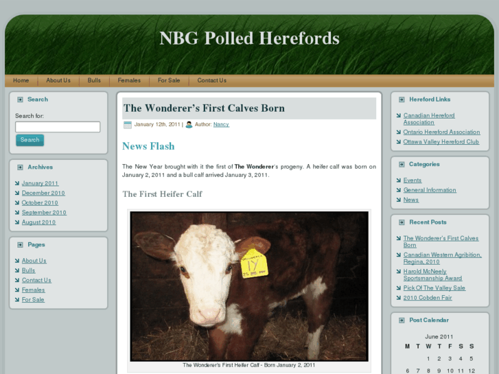 www.nbgpolledherefords.com