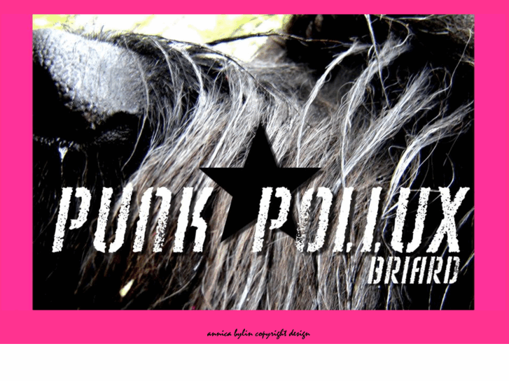 www.punkpollux.com