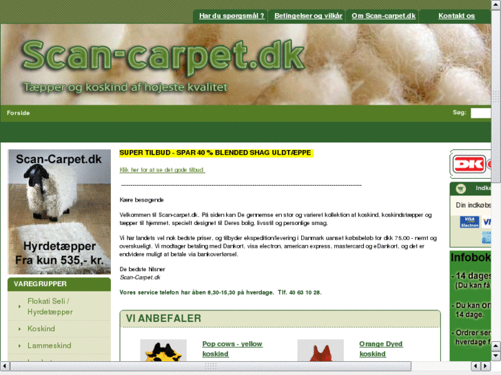 www.scan-carpet.com