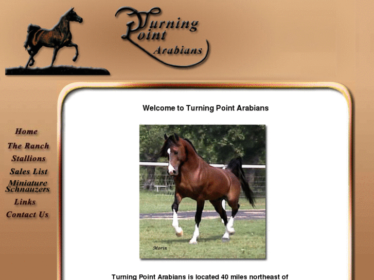 www.turningpointarabians.com