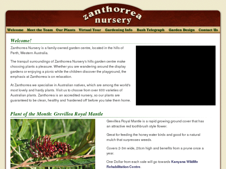 www.zanthorrea.com