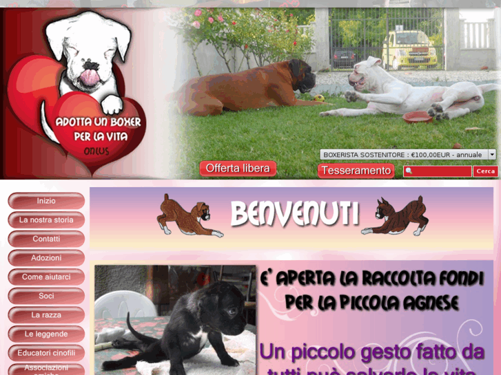 www.adottaunboxerperlavita.it