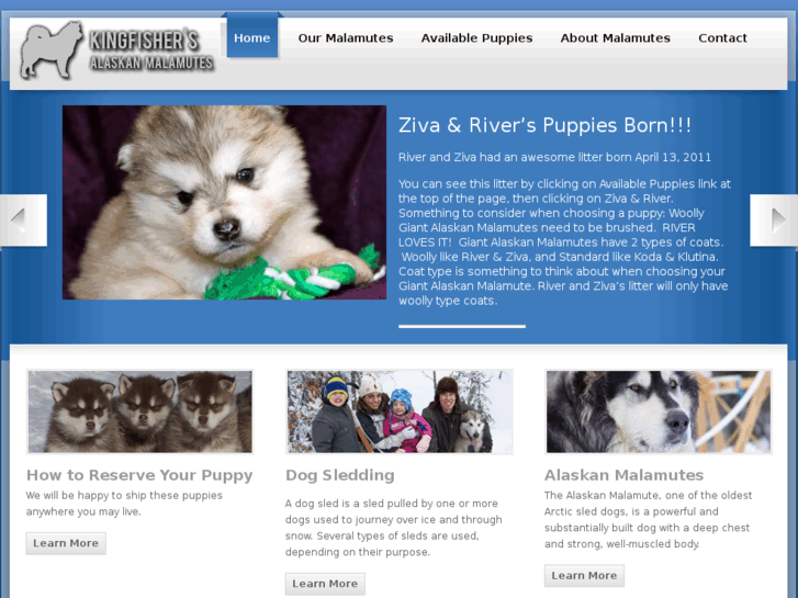 www.alaskamalamutepuppies.com