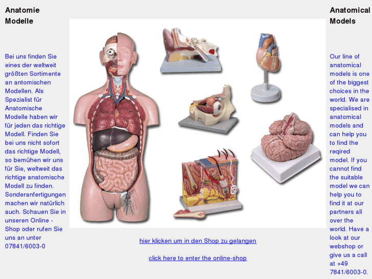 www.anatomie-modelle.com