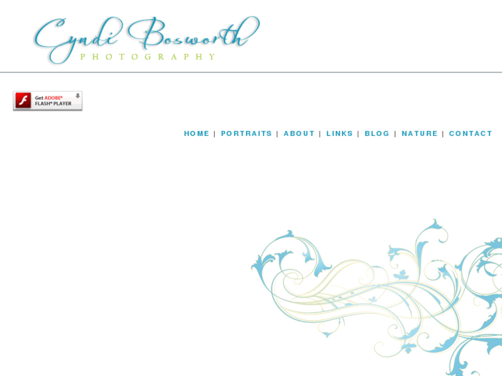 www.cyndibosworth.com