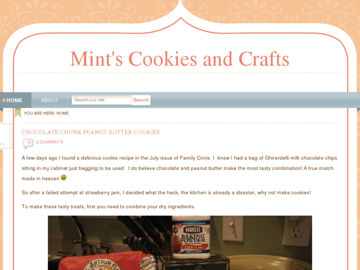 www.mintschocolatechip.com