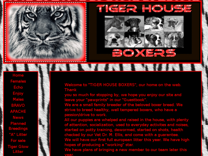 www.tigerhouseboxers.com