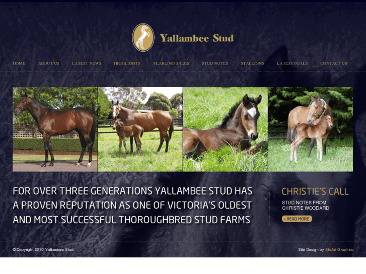 www.yallambeestud.com