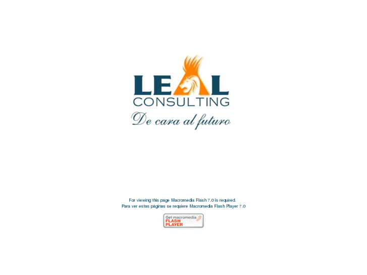 www.lealconsulting.biz