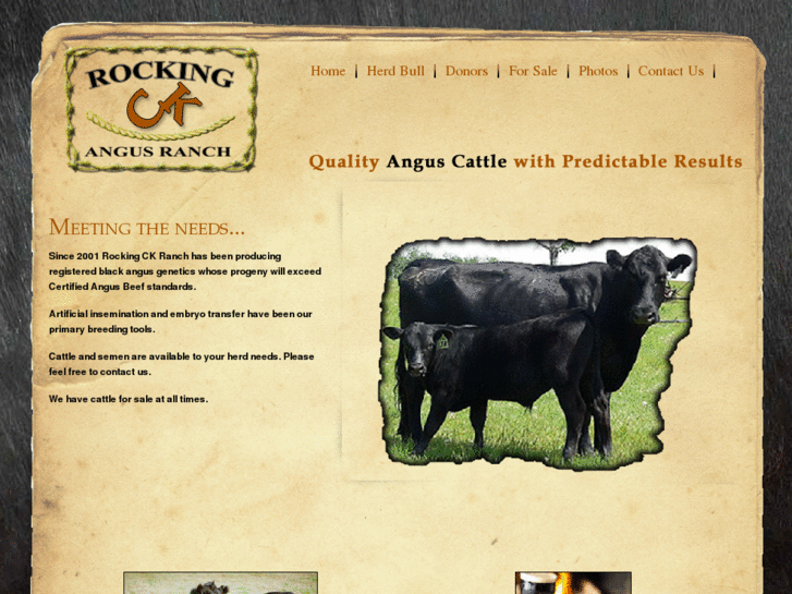 www.rockingckangusranch.com