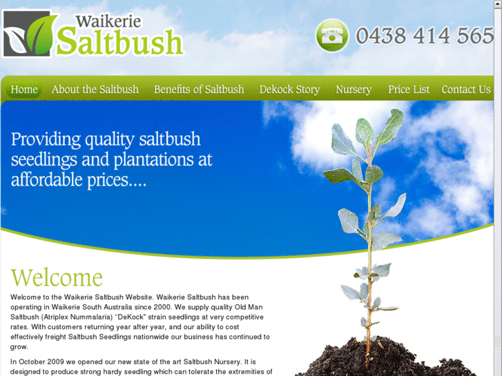 www.waikeriesaltbush.com