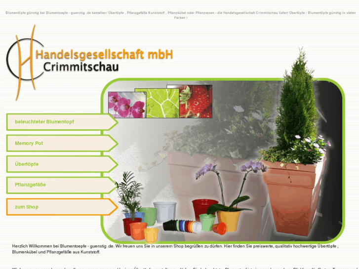 www.blumentoepfe-guenstig.de