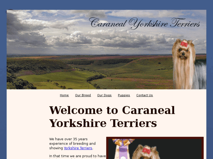 www.caranealyorkshireterriers.com