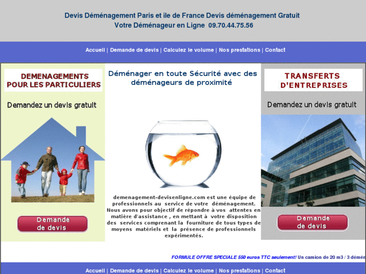 www.demenagement-devisenligne.com