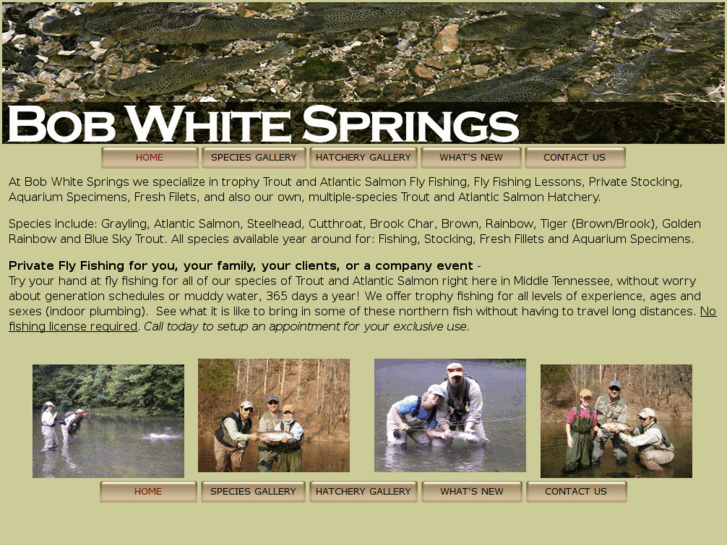 www.bobwhitesprings.com