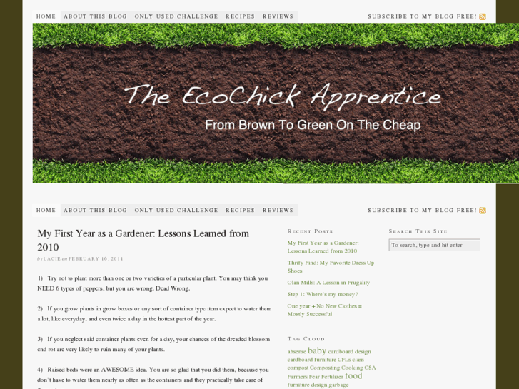 www.ecochicapprentice.com