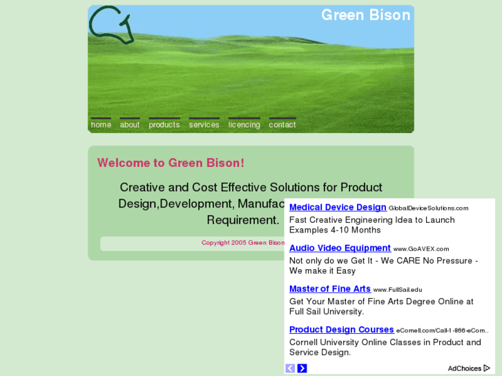 www.green-bison.com