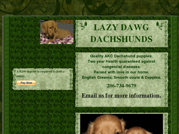 www.lazydawgdachshunds.com