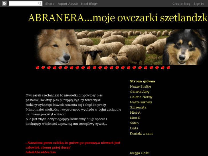 www.szetland.com