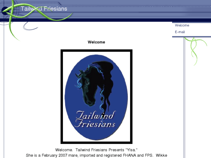 www.tailwindfriesians.com