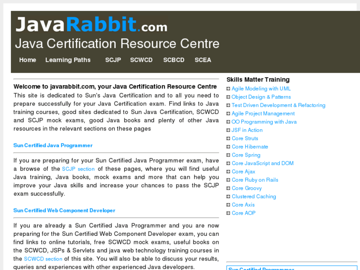 www.javarabbit.com