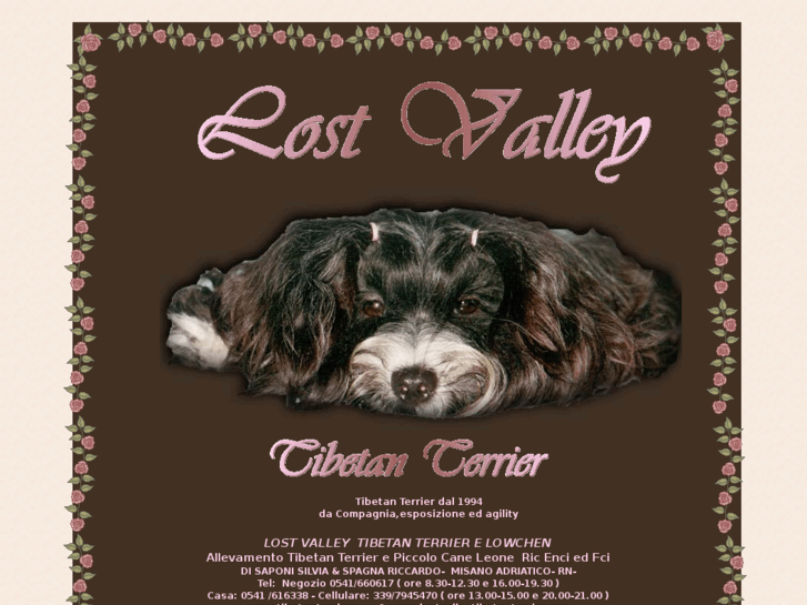 www.lostvalleytibetanterrier.com