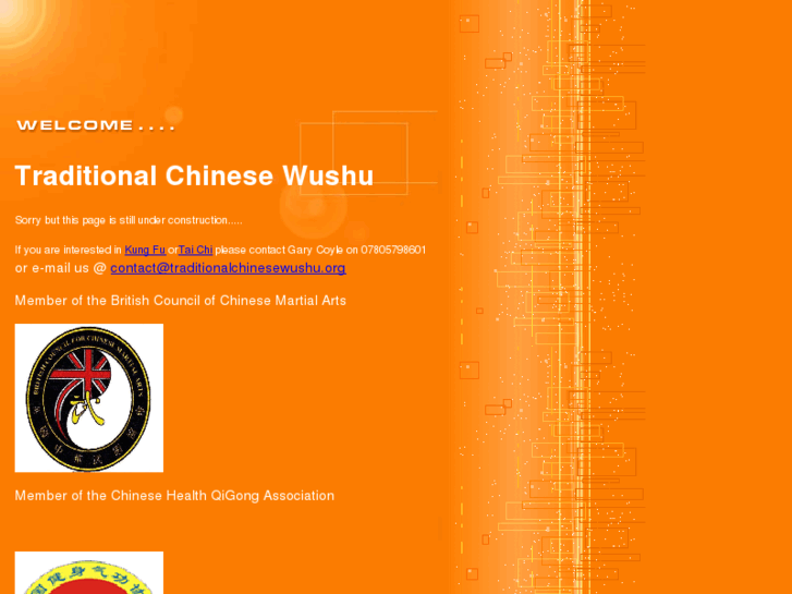 www.traditionalchinesewushu.org