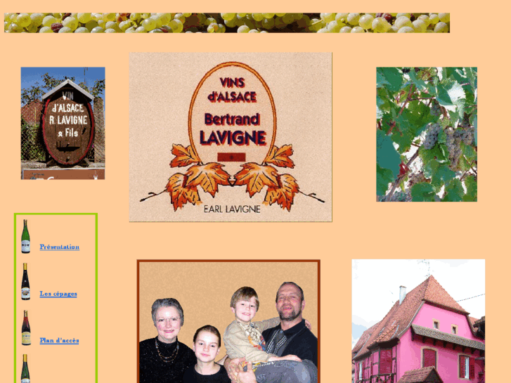 www.vins-lavigne.com