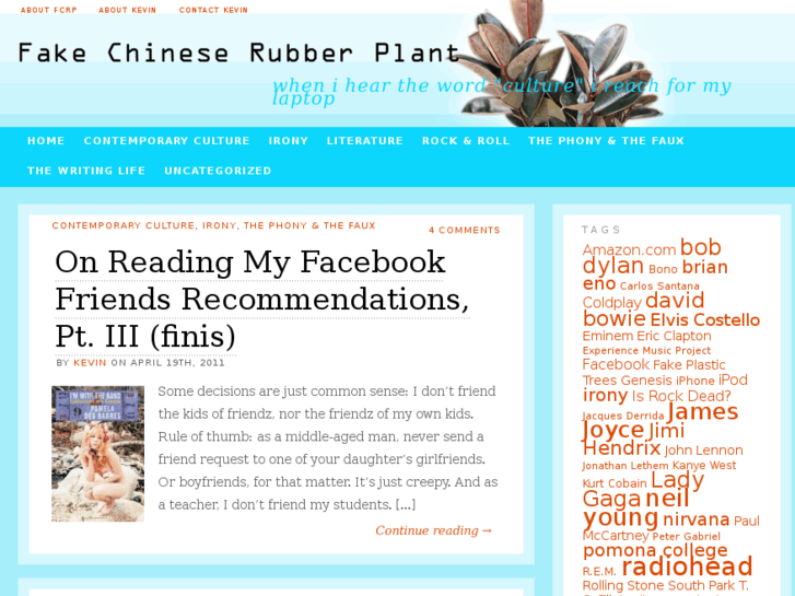 www.fakechineserubberplant.com