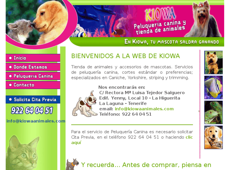 www.kiowaanimales.com