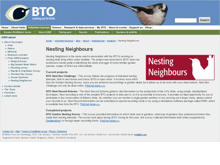 www.nestingneighbours.net