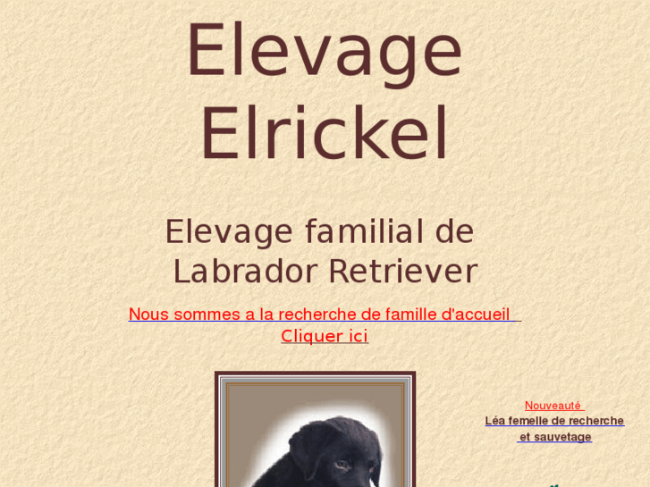 www.elrickel.com