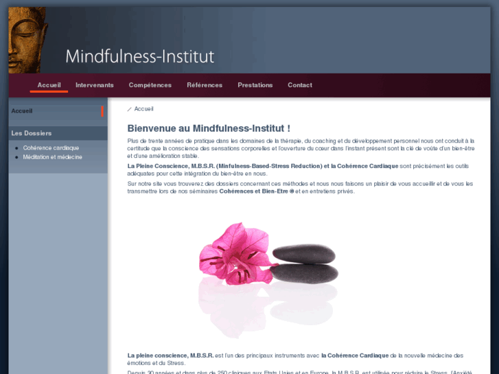 www.mindfulness-institut.com