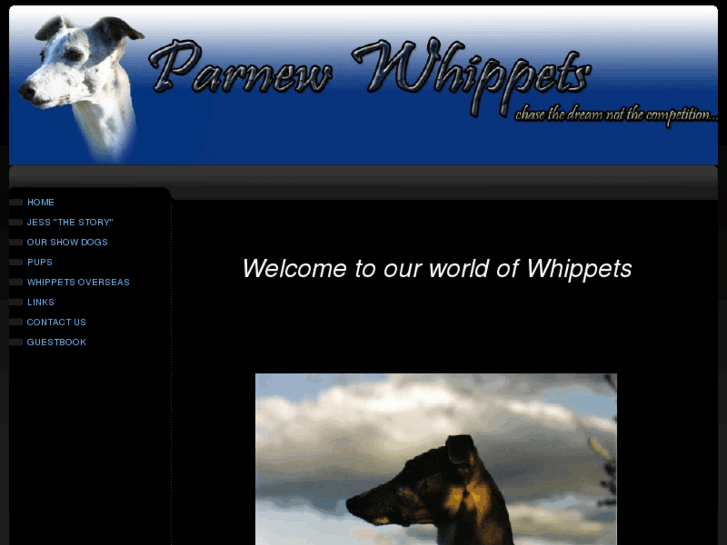 www.parnewwhippets.com