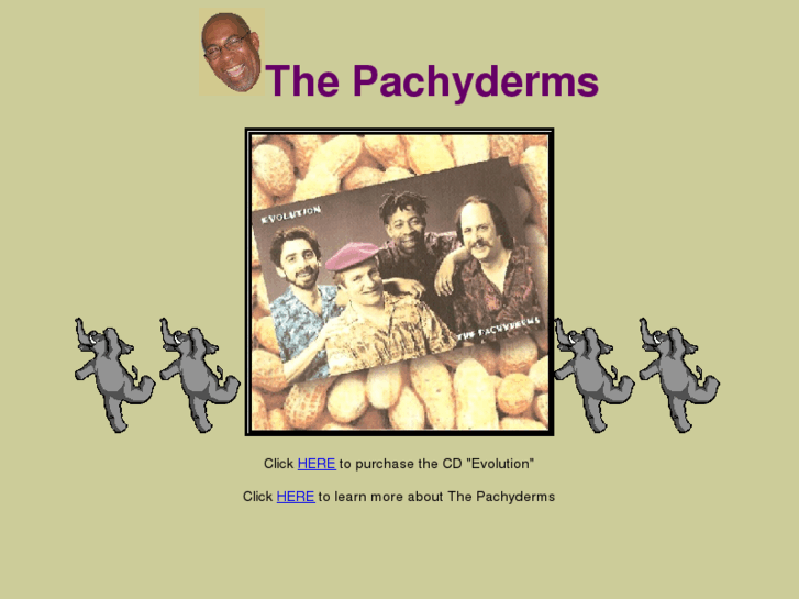 www.thepachyderms.com