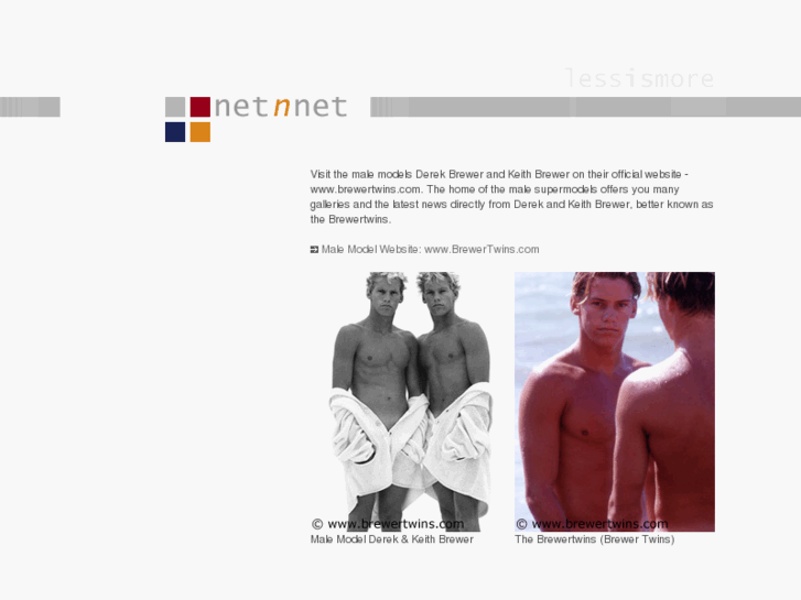 www.brewertwins.net
