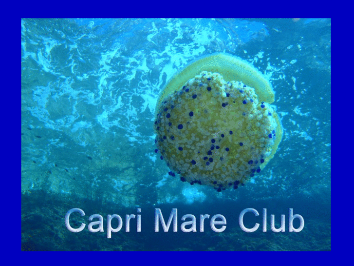 www.caprimareclub.org