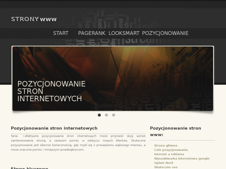 www.efektywnepozycjonowanie.info