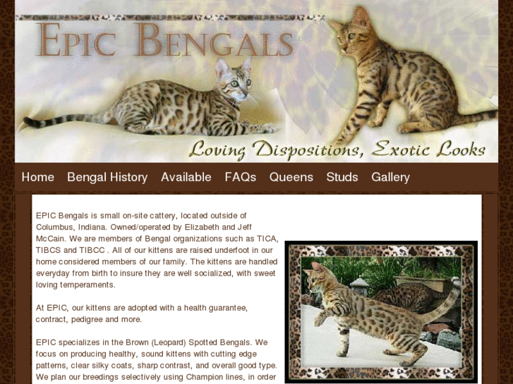 www.epicbengals.com