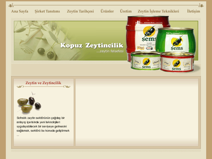 www.kopuzzeytincilik.com