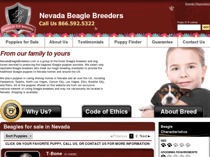 www.nevadabeaglebreeders.com