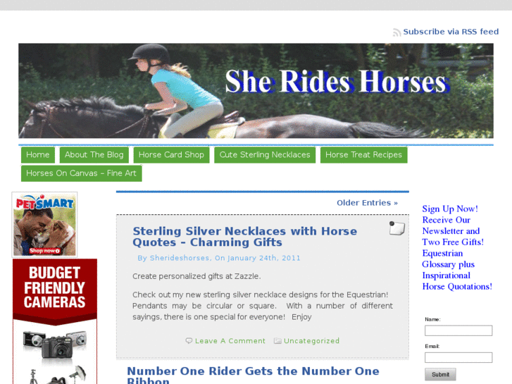 www.sherideshorses.com