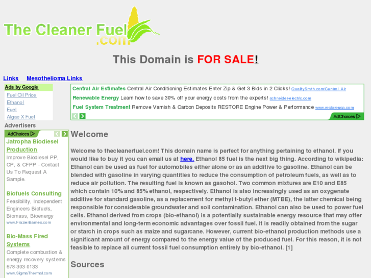 www.thecleanerfuel.com