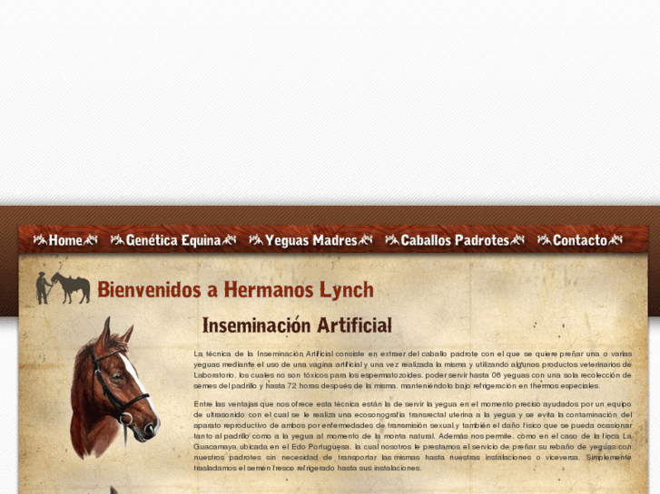 www.agropecuariahermanoslynch.com