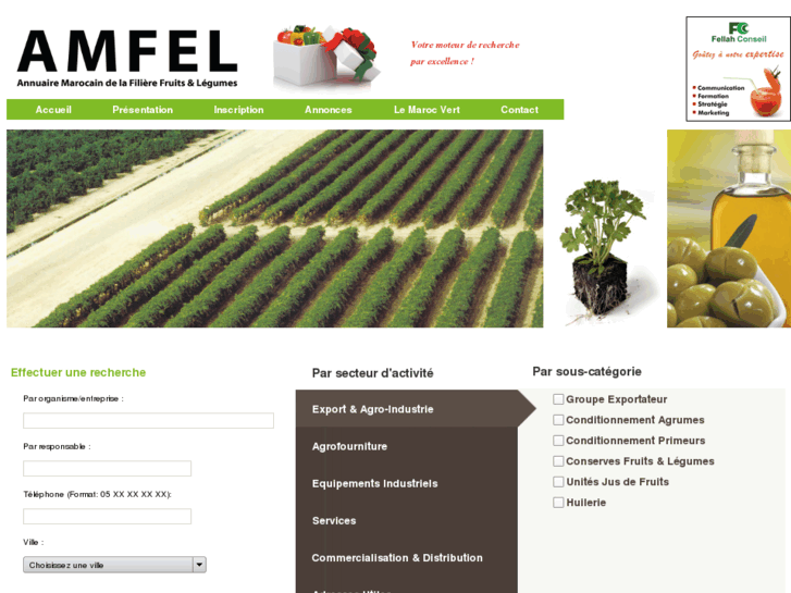 www.amfel.com
