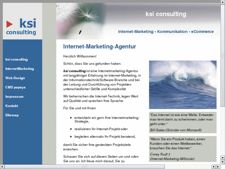 www.ks-internet-consulting.com