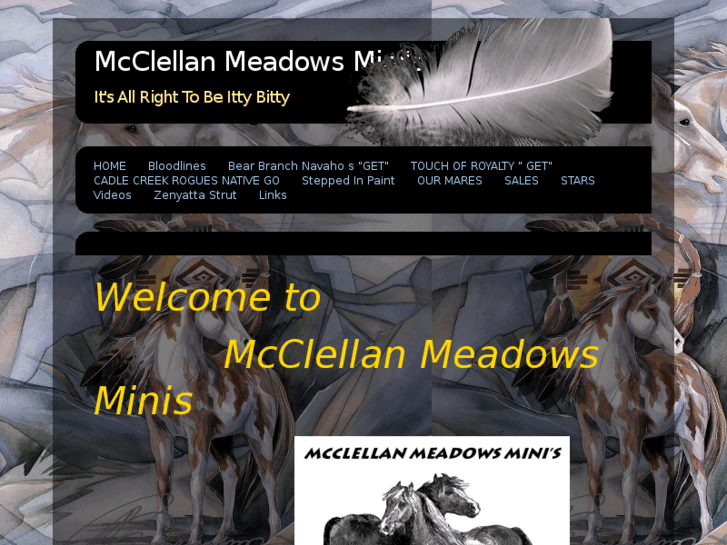 www.mcclellanmeadowsminis.com