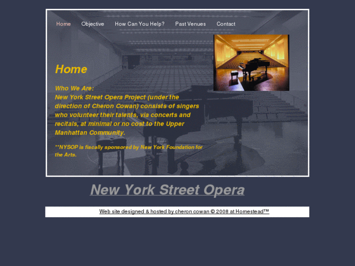 www.nystreetopera.com