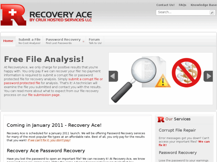 www.recoveryace.com